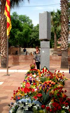ampliar