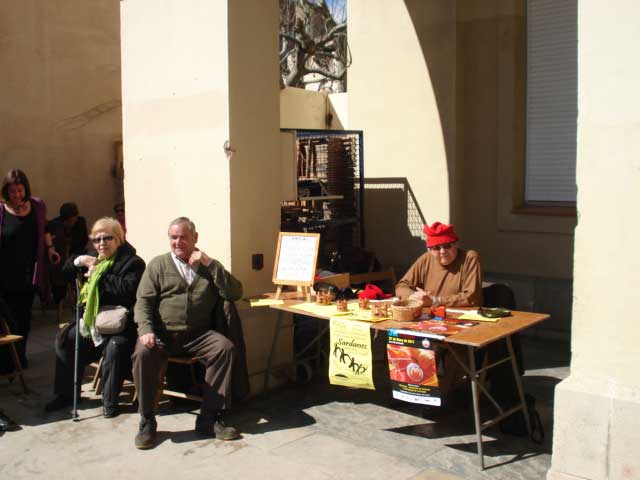 ampliar