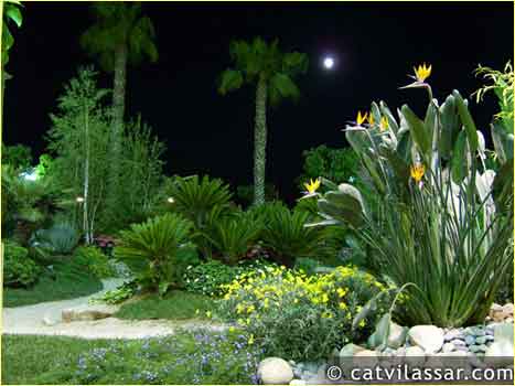 Mar de Flors - Juny 2007