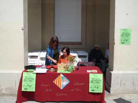 Sardanes de Sant isidre 2008